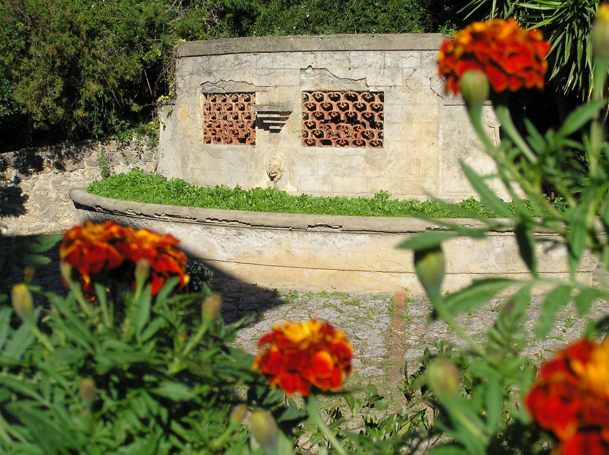 Agriturismo Grazia Orbetello Extérieur photo