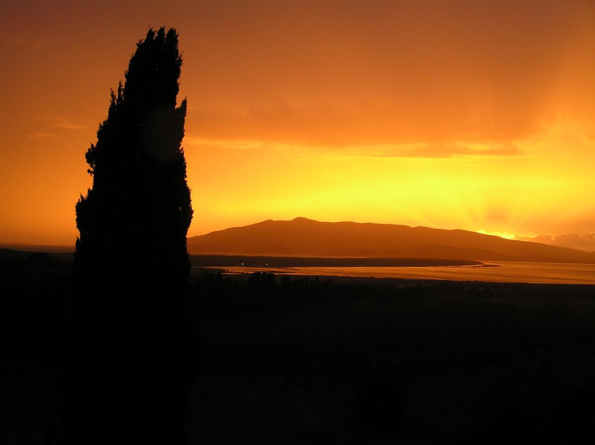 Agriturismo Grazia Orbetello Extérieur photo