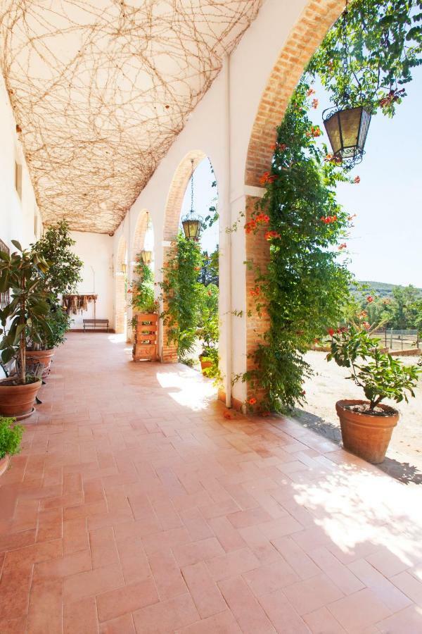 Agriturismo Grazia Orbetello Extérieur photo